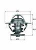 DAF 0167513 Thermostat, coolant